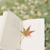 你好，明天