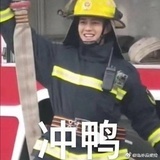 炸毛猫