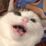 俺可以改名了吗