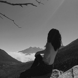 一棵树桩