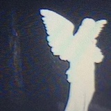 秋天自是读书天