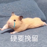 旺旺碎仙贝