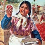 720
