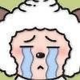 已经无所谓了