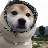 一个在在