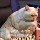 HH