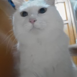 车厘子