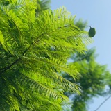 青山