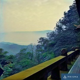 老年YanG