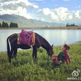 郑能量