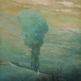 寒鸦少年
