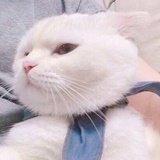 已注销