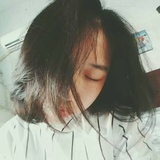 康八蛋