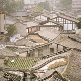 jueni