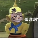 不爱说话