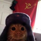 哭哭子