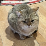 子亦