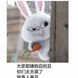 猫田