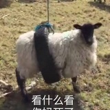 已注销
