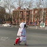 踢踢