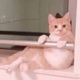 执迷不悟