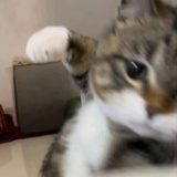 不负春盟