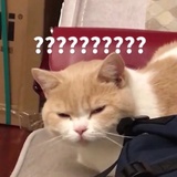 风太大我听不见