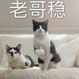 伊稚猹