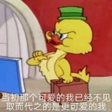 木子吖CC