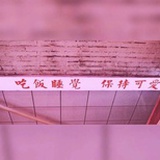 FIONA_177