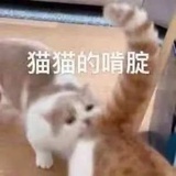 鱼塘主