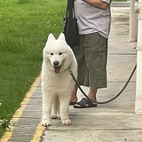 未输入昵称