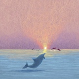 🐬