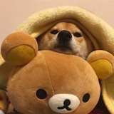 夏天要吃榴莲