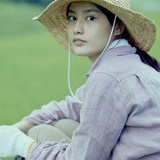 梦里花落知多少
