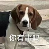 快乐狗勾