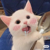 乙醇