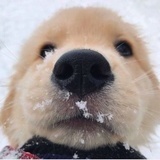 飞飞飞