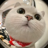 궁 아 문