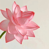 孙同学