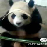 季节性抽风