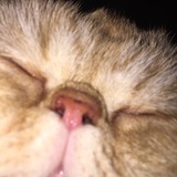 BiBi😼小怪兽