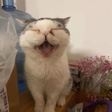 吟游诗人