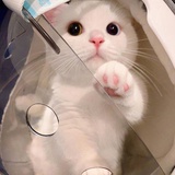 笑笑