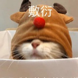 小猫咪带带我