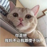 小糖羊