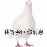 半颗星星