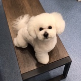 云里雾里