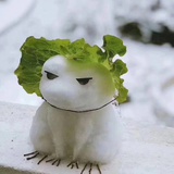 vicky猪豆豆