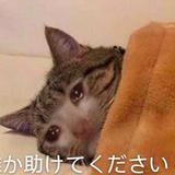 gzslydhnrklxf